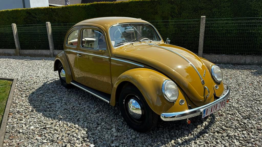 VW kever 1957, Autos, Oldtimers & Ancêtres, Particulier, Radio, Volkswagen, Essence, Boîte manuelle, Jaune, Enlèvement