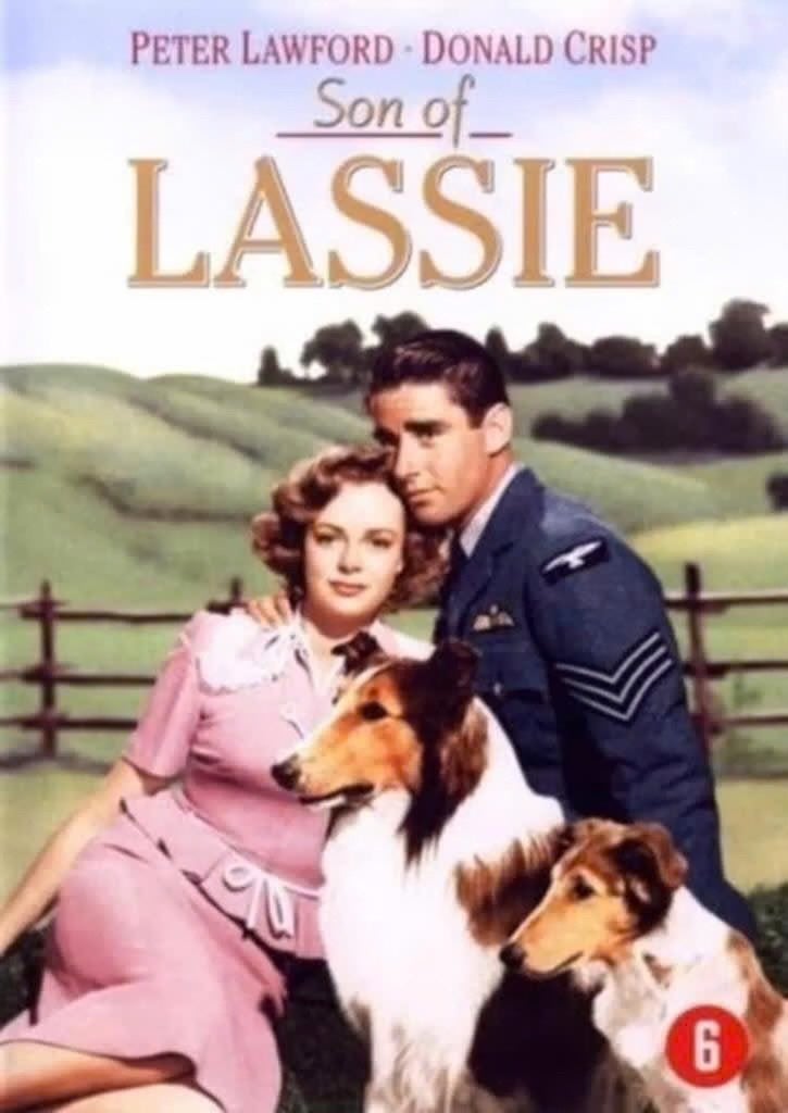 Son Of Lassie, Cd's en Dvd's, Ophalen of Verzenden, Engels, Oorlog, Nederlands