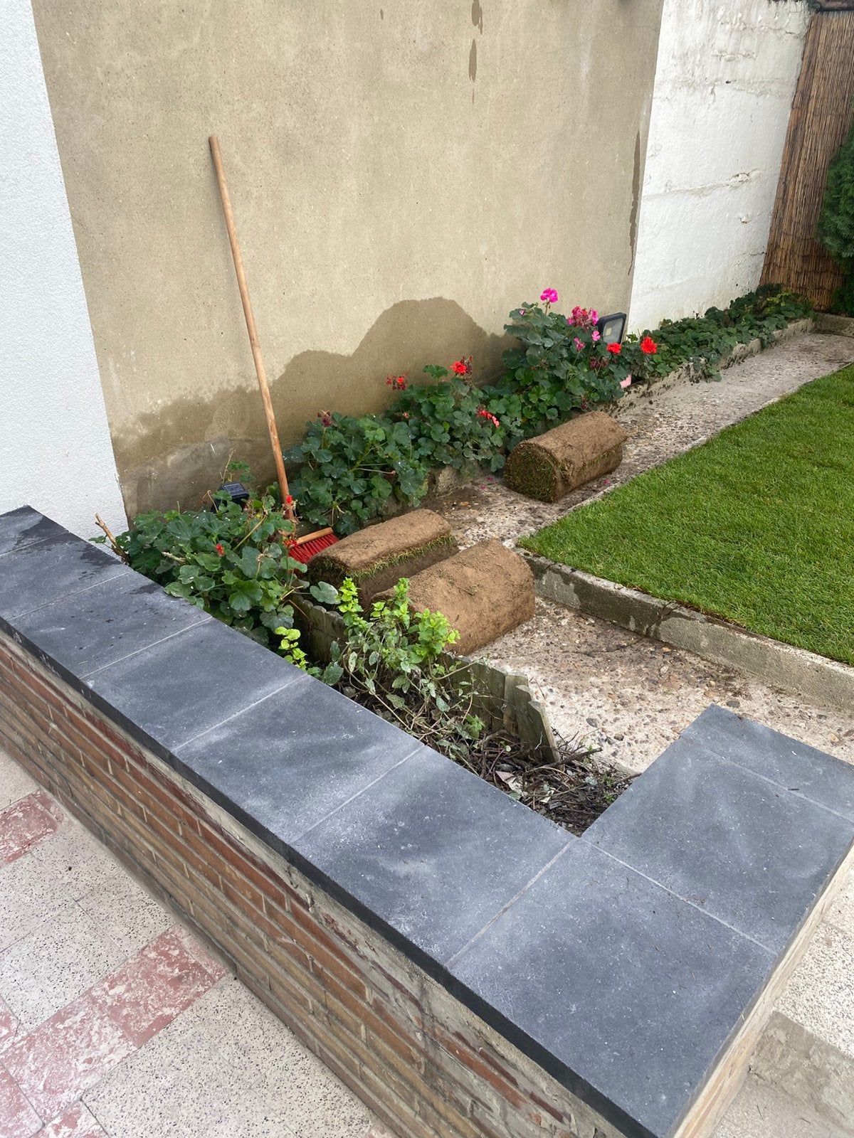 GRATIS 3 Rouleaux de gazon frais du jour A DONNER, Ophalen, Nieuw