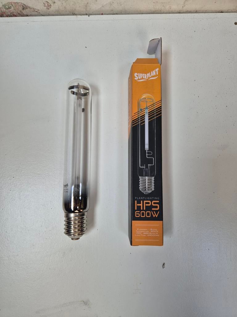 Ampoule   Superplant HPS 600w