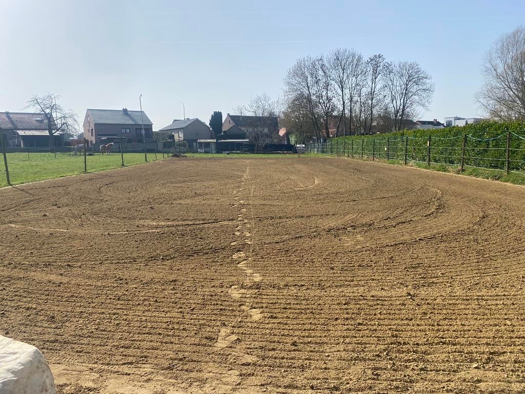 Piste te huur - met/zonder springparcour, Dieren en Toebehoren, Stalling en Weidegang