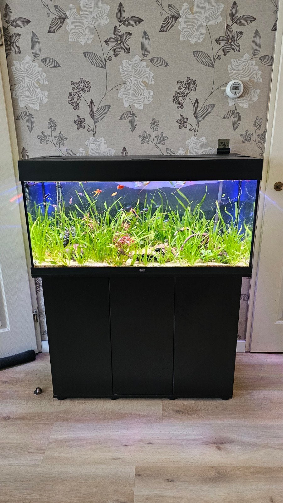 Aquarium Juwel Rio 180 met helialux systeem., Dieren en Toebehoren, Ophalen, Eheim