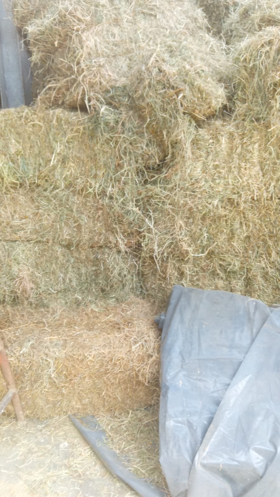 Hooi te koop, Dieren en Toebehoren, Dierenvoeding, Ophalen, Vee