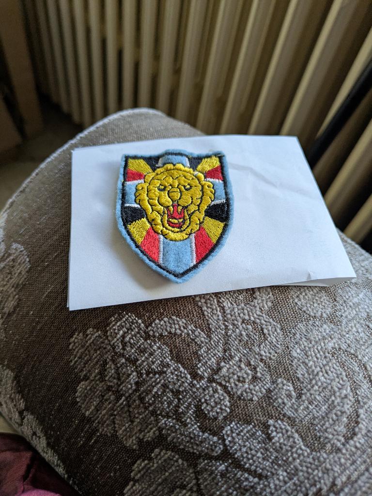 3de Para vanaf 1955, Verzamelen, Militaria | Algemeen, Ophalen of Verzenden, Landmacht, Embleem of Badge