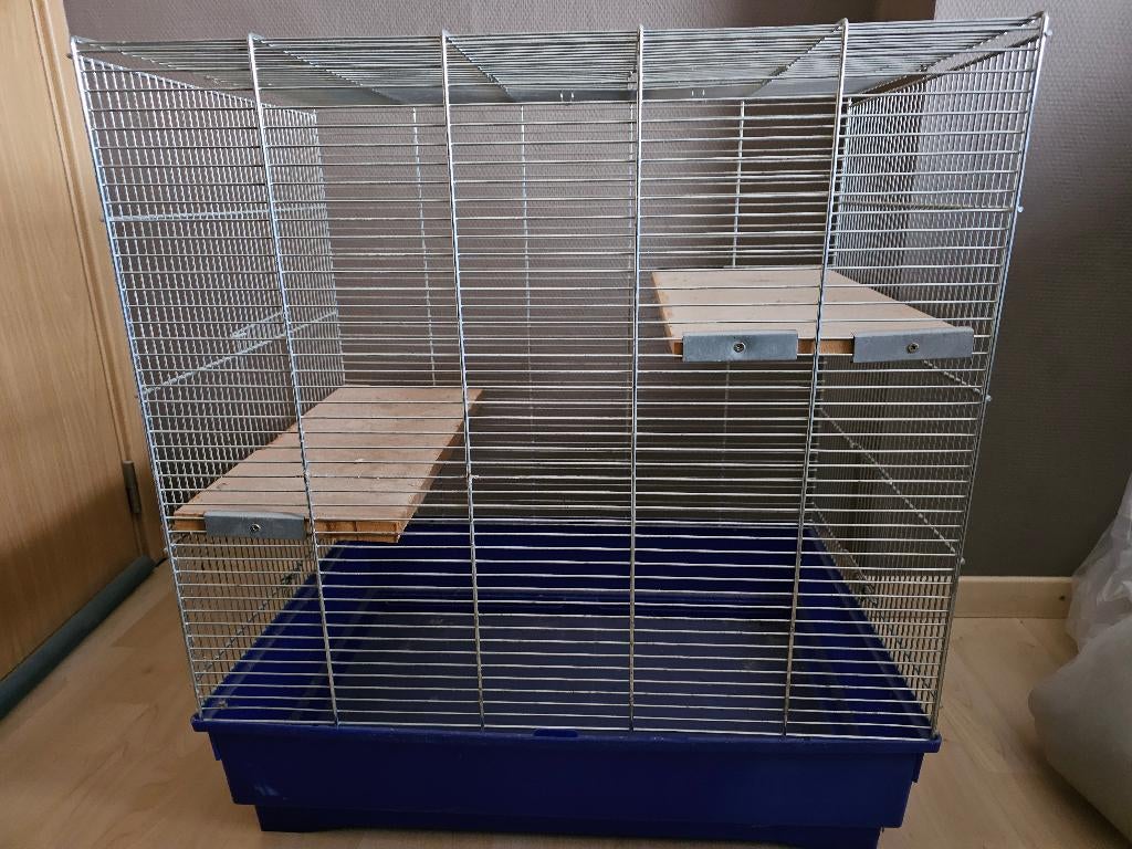 Cage pour rongeurs, Rat, Cage, Comme neuf, 60 à 90 cm