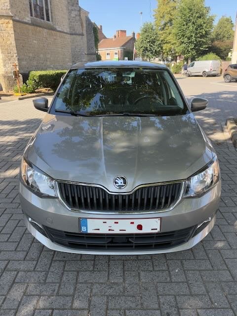 Skoda Fabia 1.0 MPI Ambition, Auto's, Skoda, Voorwielaandrijving, Dealer onderhouden, Stof, Overige kleuren