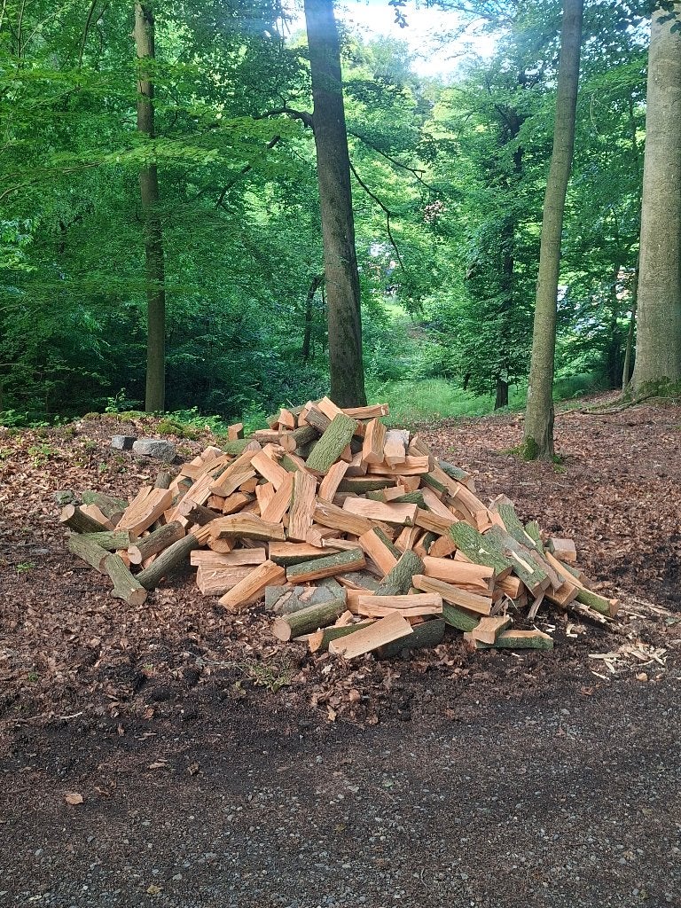 Bois de chauffage, Enlèvement, Hêtre, Bûches