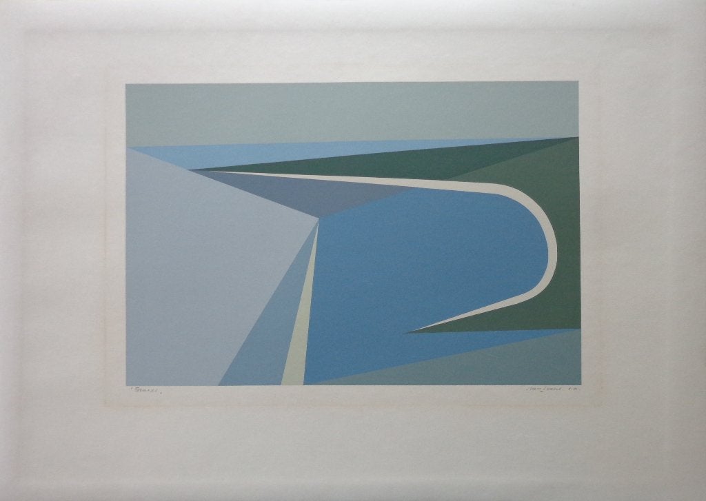 MAURITS VAN SAENE / BEANES / KLEURLITHO / 50x70cm / SIG, Antiek en Kunst, Gelimiteerde oplage, Ophalen of Verzenden, Abstract