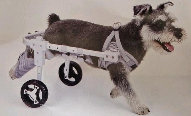 Honden rolstoel, Ophalen