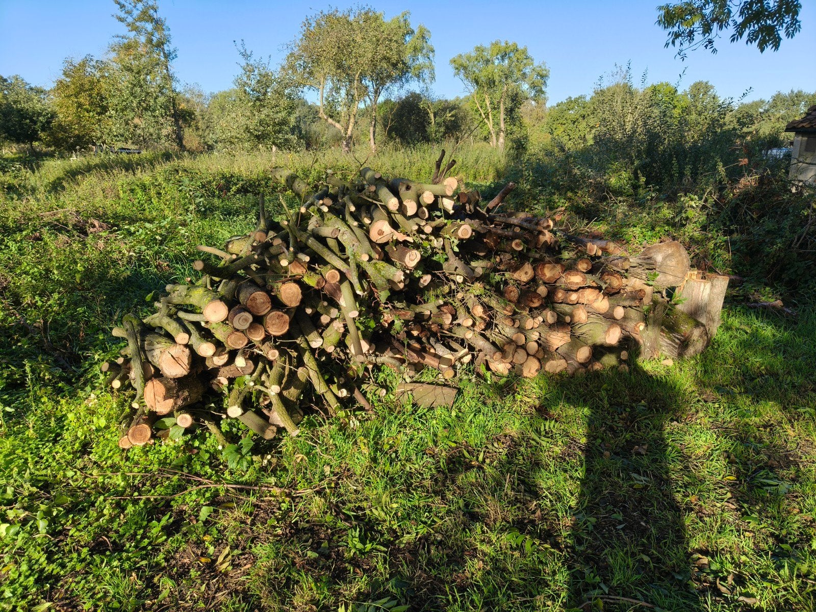 stookhout, Ophalen