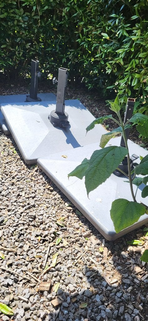 Pieds de parasol déporté PRO 78x78 pivotants 360 (lourds), Jardin & Terrasse, Enlèvement, Comme neuf, Base de parasol
