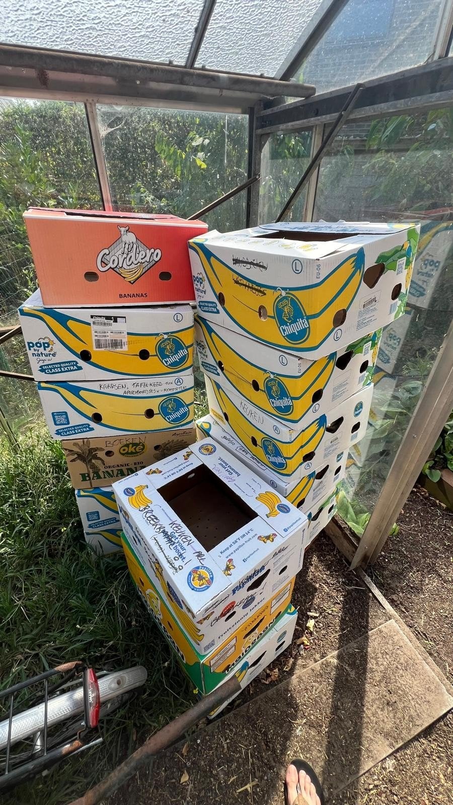 gratis bananendozen, Enlèvement