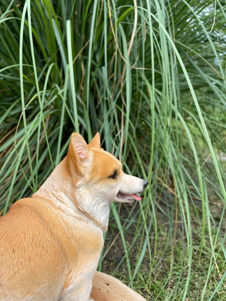 Welsh Corgi hond zittend, gazon, tuin 50cm, Ophalen of Verzenden, Nieuw, Kunststof, Dierenbeeld