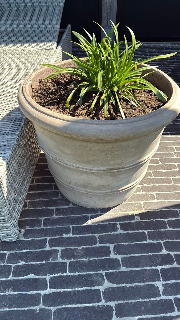 Bloempot, Enlèvement, Comme neuf