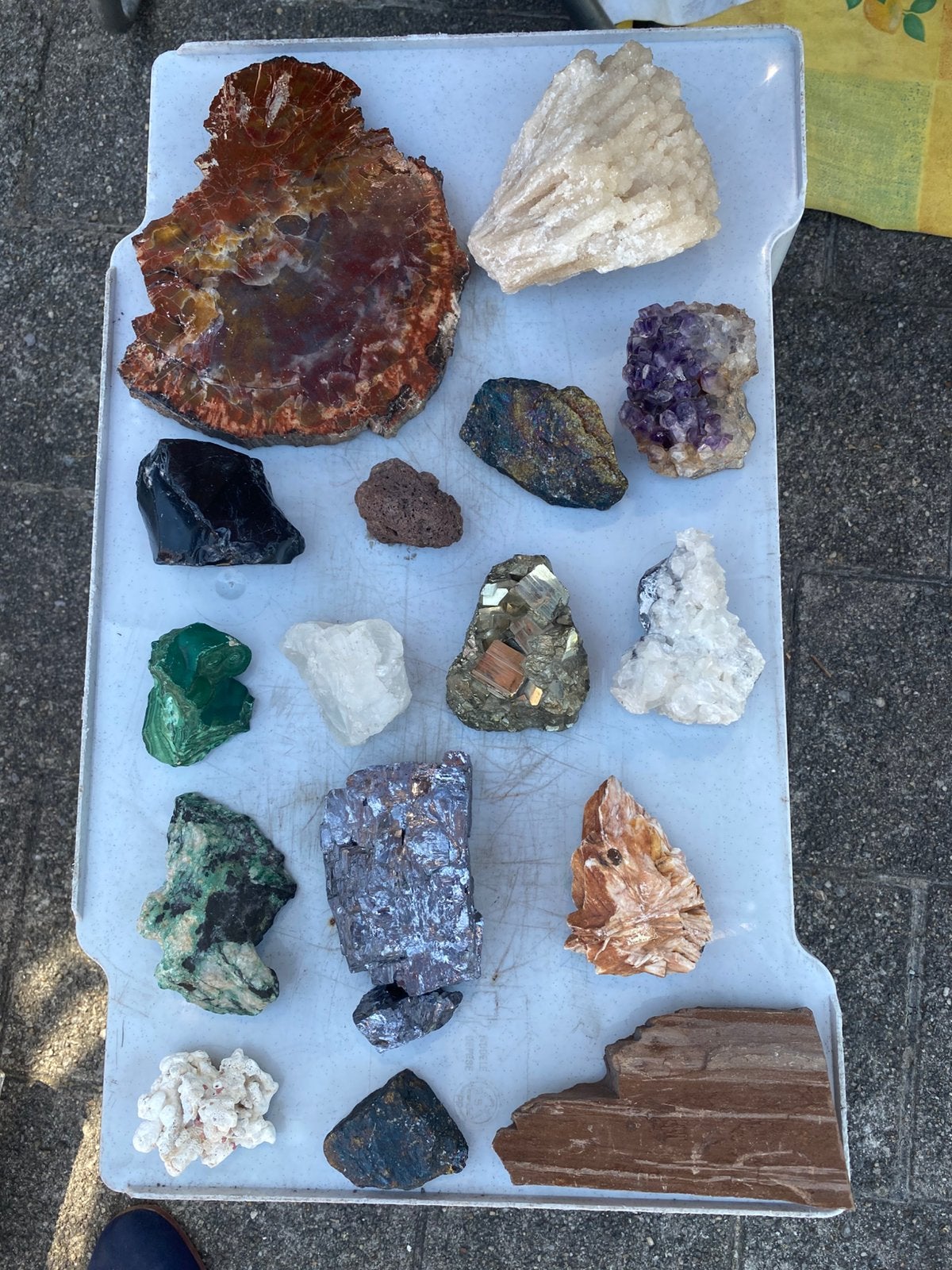 Collection de 16 minerais, Collections, Minéraux & Fossiles, Enlèvement, Fossile