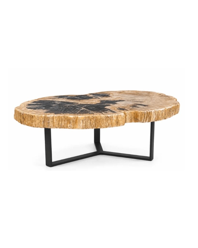 Salontafel – versteend hout – ca. 4 miljoen jaar oud, Huis en Inrichting, Ophalen, 50 tot 100 cm, Nieuw, 50 tot 100 cm