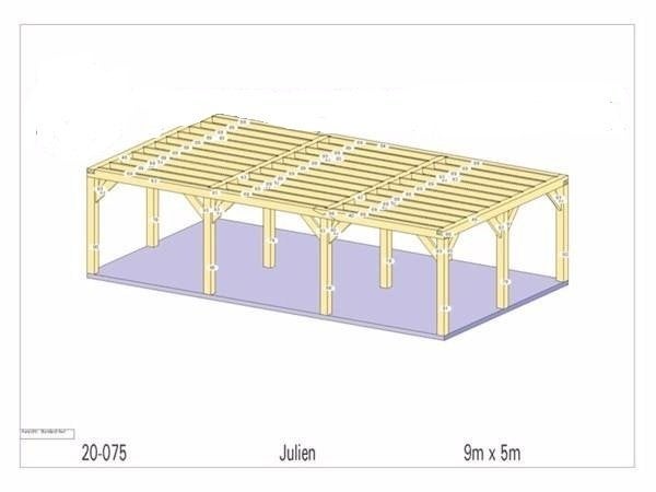 Douglas carport 9m x 5m, Enlèvement, Neuf, Carport