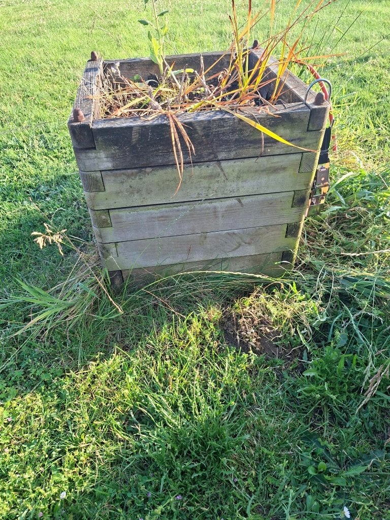 Houten plantenbak 50x50x50cm - gebruikt, Tuin en Terras, Ophalen, Gebruikt, Minder dan 60 cm, Vierkant