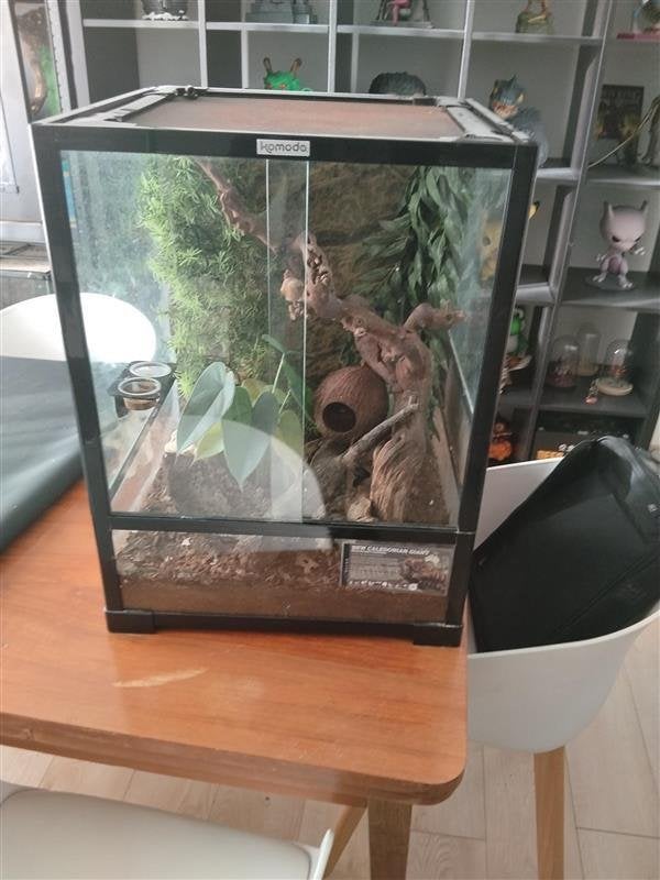 Komodo Terrarium 45x45x60 cm | Ingericht, Animaux & Accessoires, Enlèvement