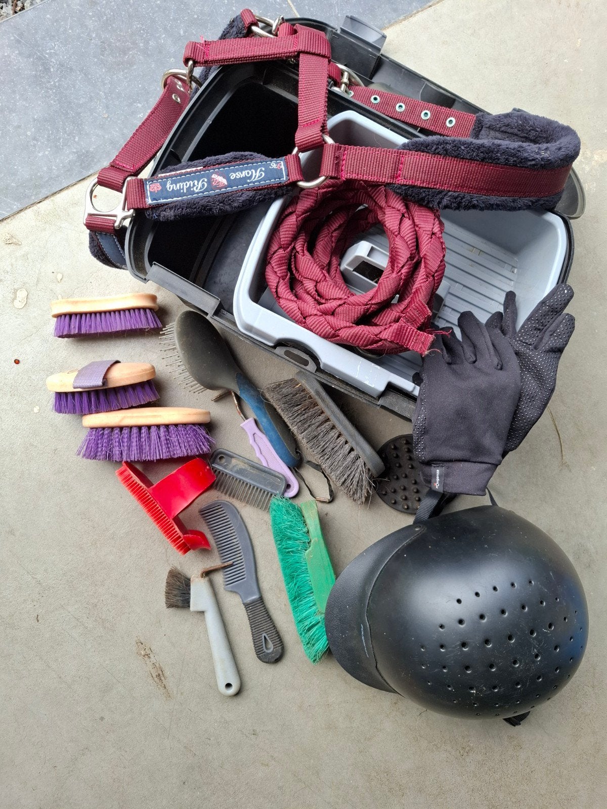 Matériel pour équitation, Animaux & Accessoires