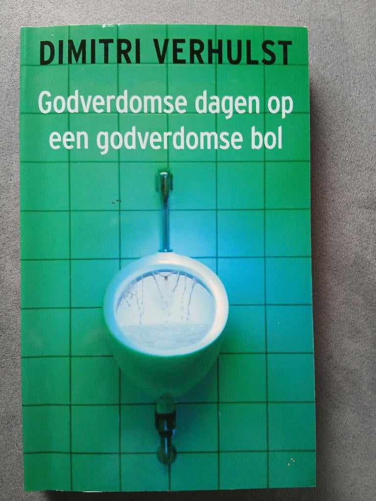 Godverdomse dagen op een godverdomse bol, België, Ophalen of Verzenden, Zo goed als nieuw, Dimitri Verhulst