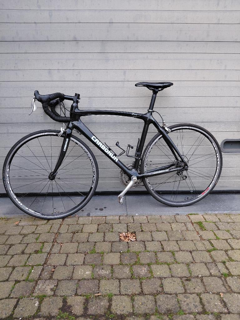 Carbonua koersfiets maat 51, Fietsen en Brommers, Minder dan 10 versnellingen, Gebruikt, Velgrem, 49 tot 53 cm