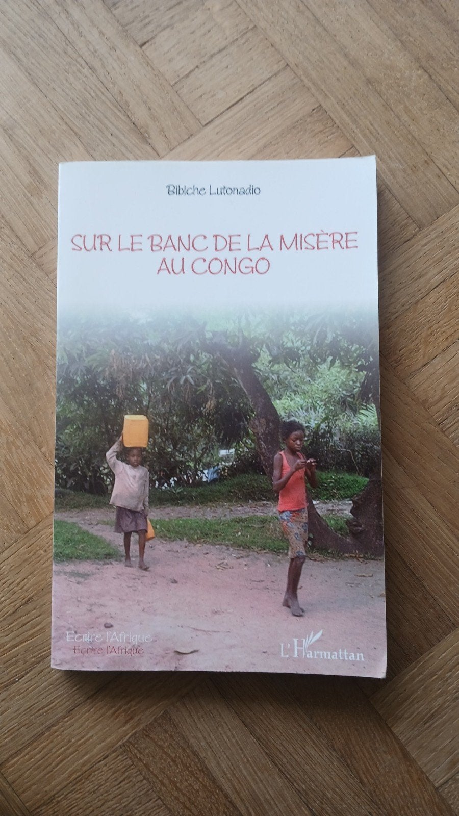 Sur le blanc de la misère au Congo, Enlèvement