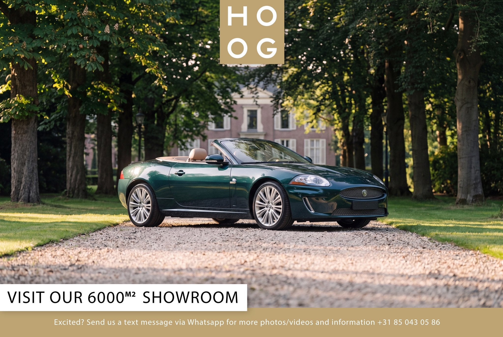 Jaguar XK 5.0 Convertible (automatique), Achat, Intérieur cuir, Entreprise, Carnet d'entretien