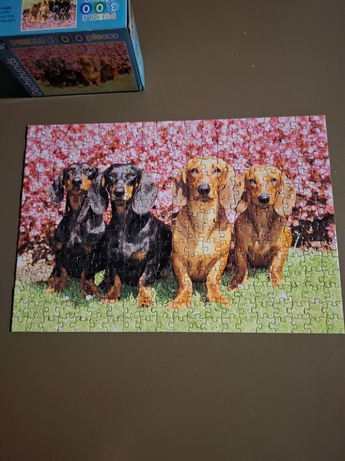 legpuzzel Teckels 300 stukjes, Ophalen