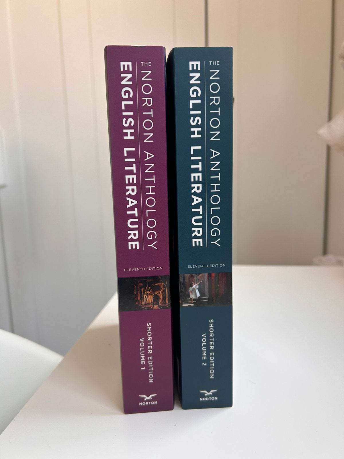 The Norton Anthology of English Literature.11th edition.2Vol, Boeken, Studieboeken en Cursussen, Ophalen of Verzenden, Nieuw, Hoger Onderwijs