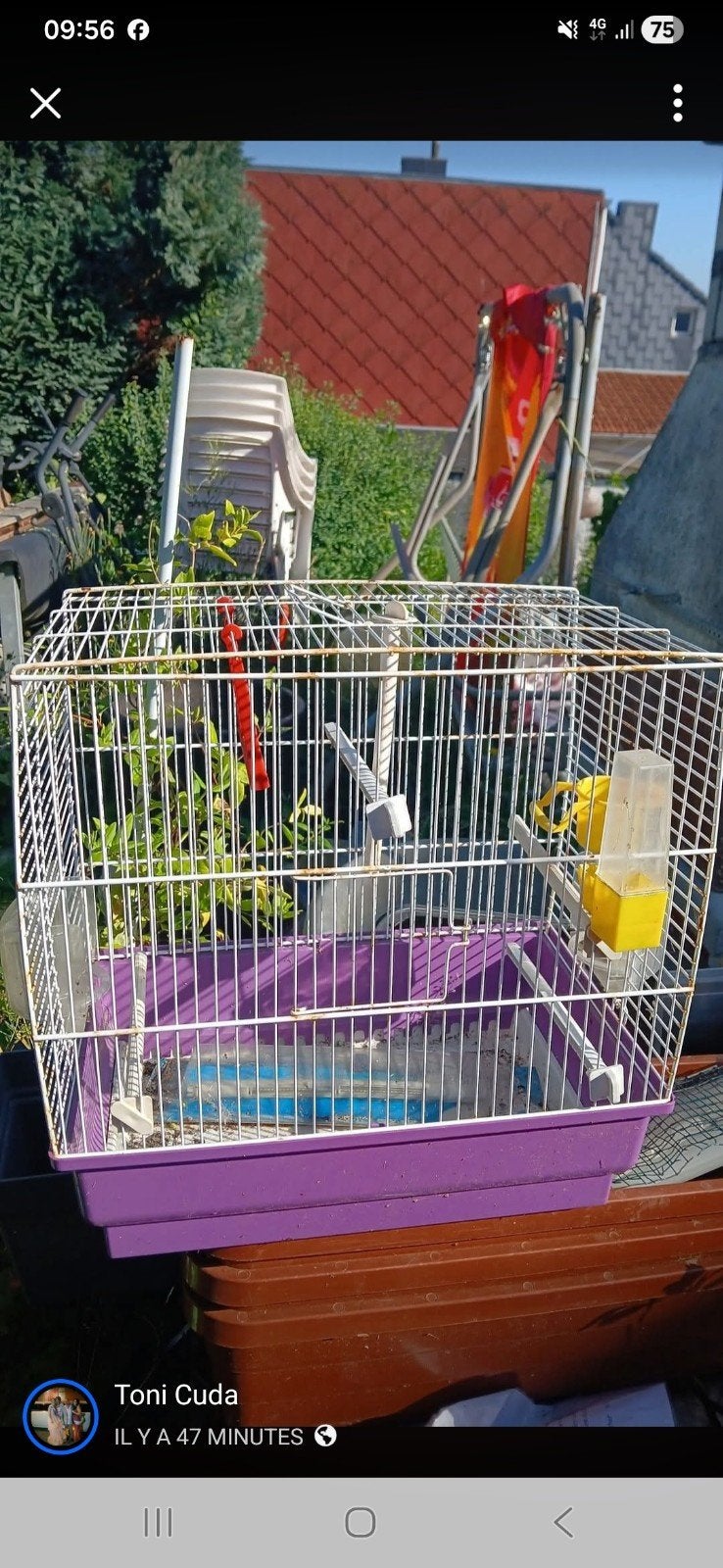 Cages pour canaris ou autres, Utilisé, Métal, Cage à oiseaux