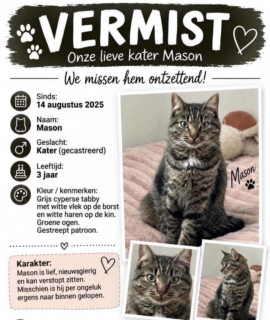 VERMIST!!  hebt u mason gezien?