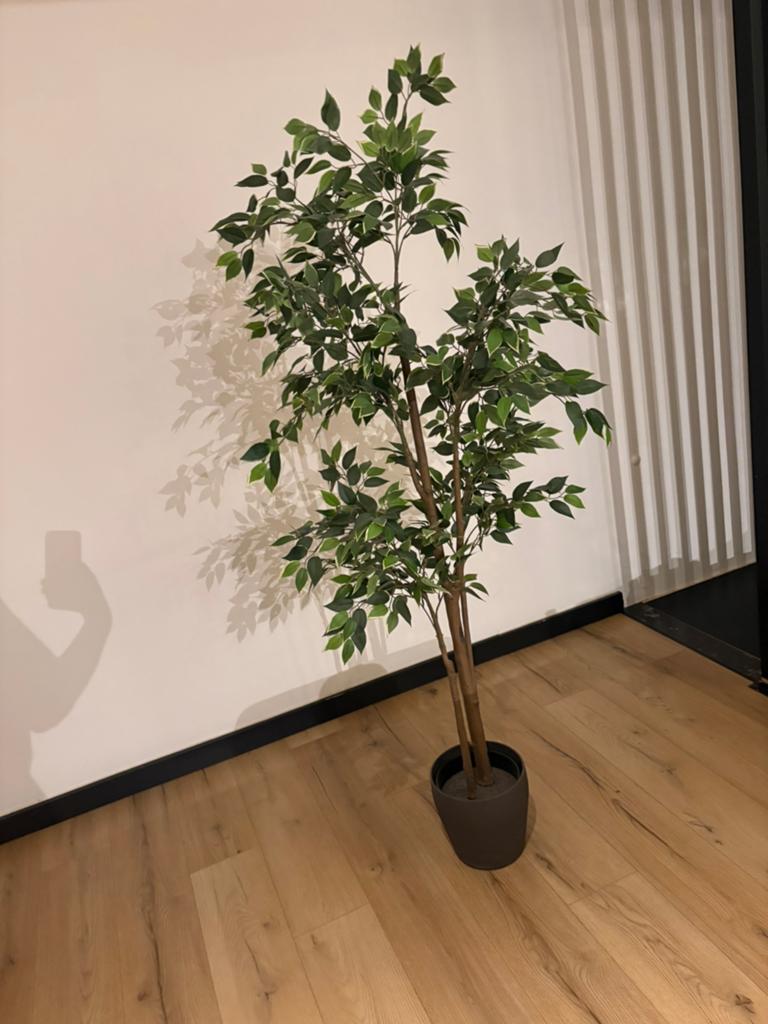 Plant ( niet echt) voor de sier, Enlèvement, Comme neuf