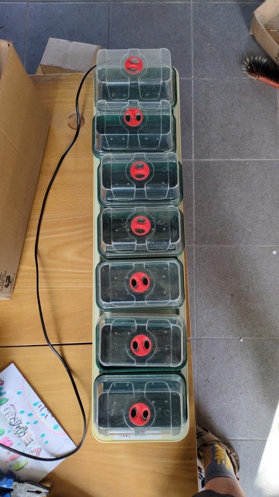 Verwarmde plantenopkweek bakjes (propagator), Ophalen