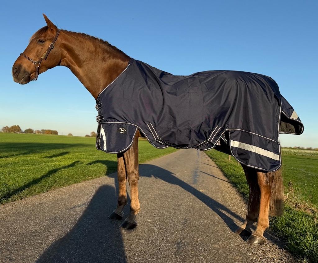 Super Sterke Profi-Rider Regendeken 1680 Denier 175 tm 215, Dieren en Toebehoren, Paarden en Pony's | Dekens en Dekjes, Nieuw