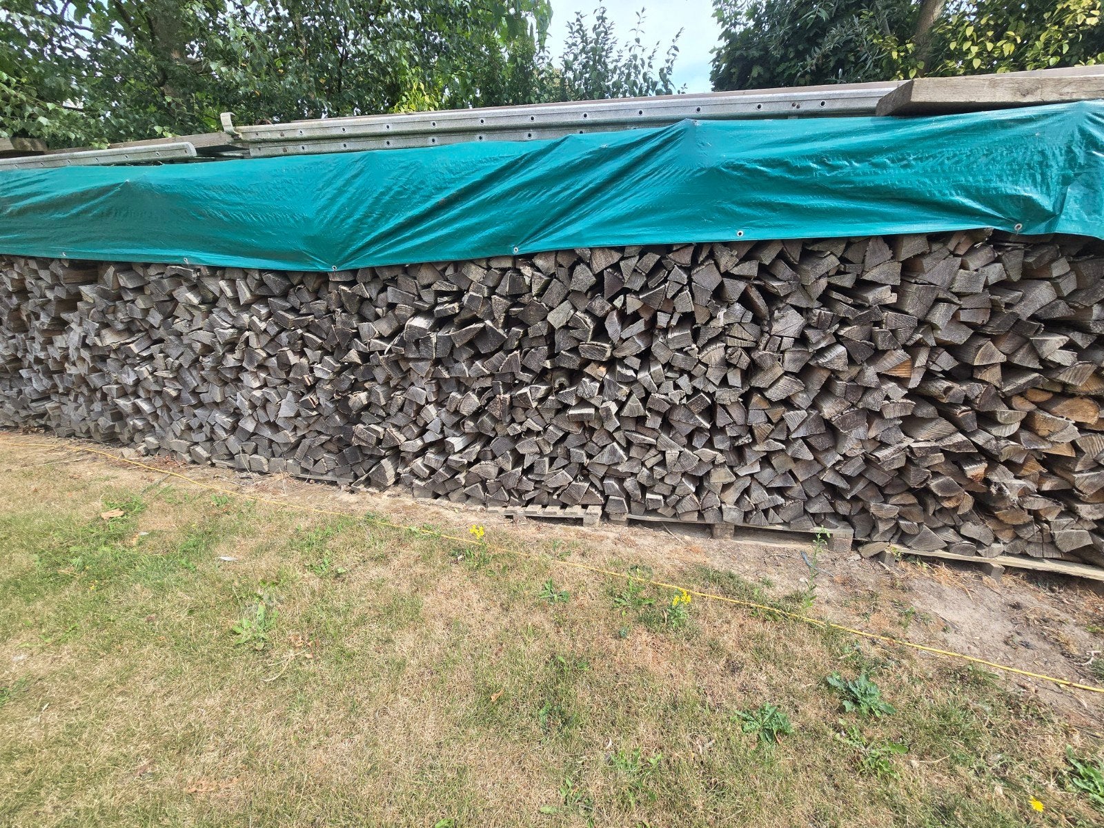 brandhout eik, 6 m³ of meer, Verzenden, Eikenhout