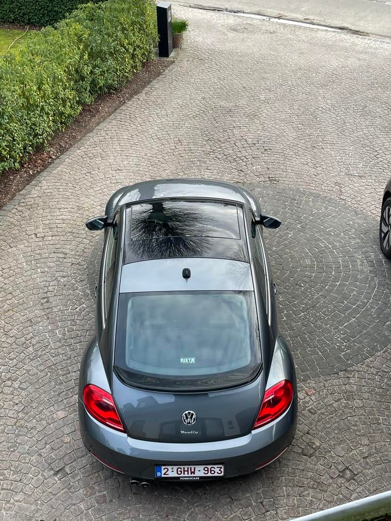 Coccinelle VW, Cuir, Achat, Particulier, 4 cylindres
