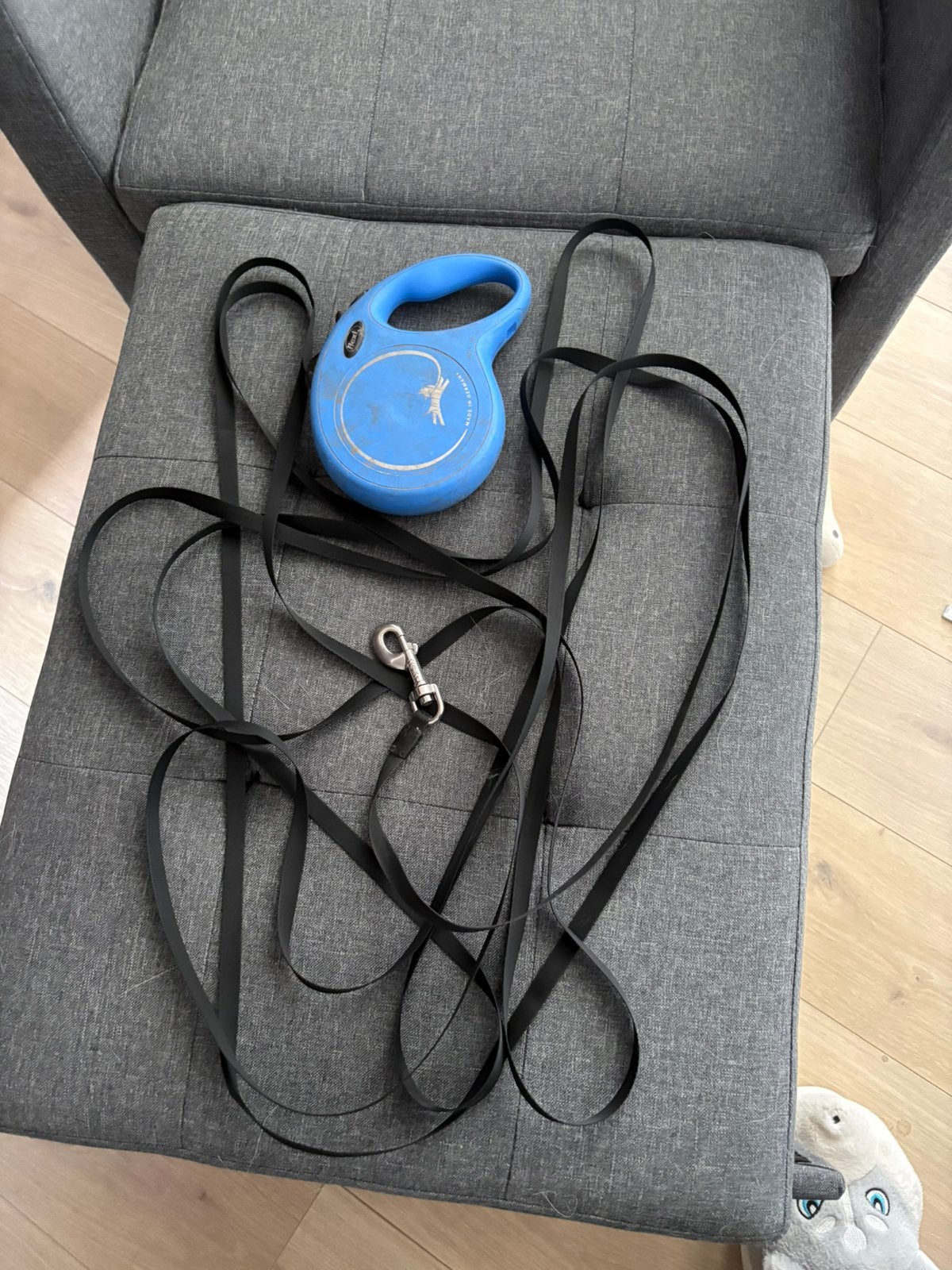 Laisse Flexi 8 mètres, Enlèvement, Comme neuf