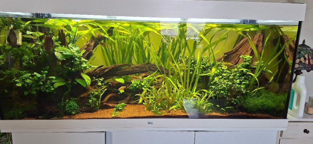 Aquarium jbl 450l, Ophalen, Zo goed als nieuw, Gevuld zoetwateraquarium, JBL