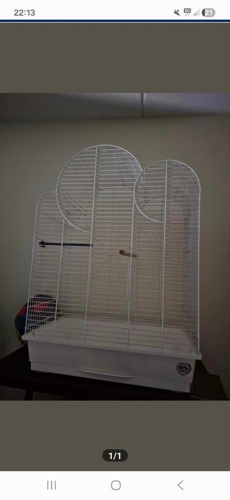A vendre 30 euro, Animaux & Accessoires