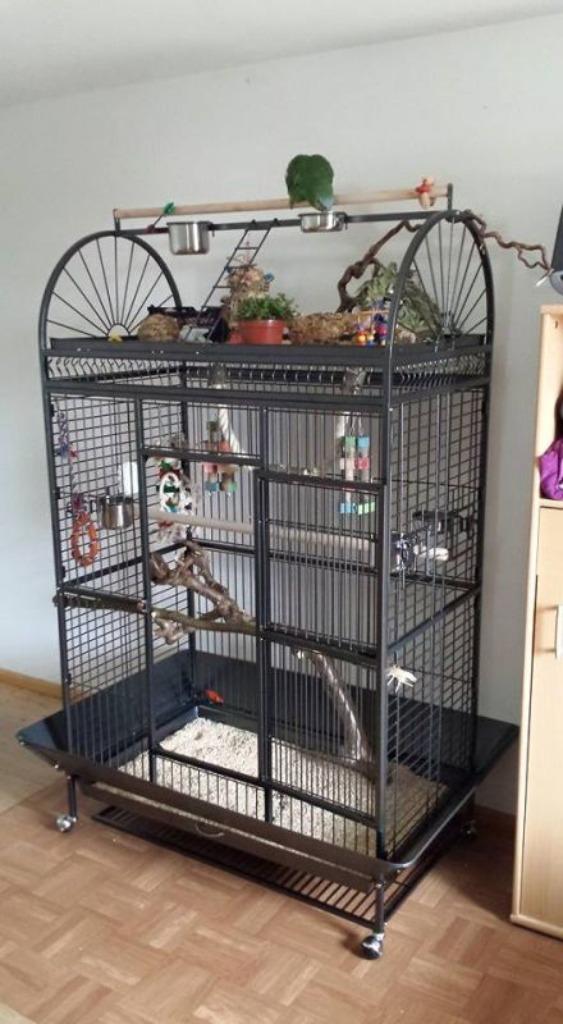 Cage perroquet ARA cage cacatoes cage amazone gris gabon, Envoi, Neuf, Métal, Volière