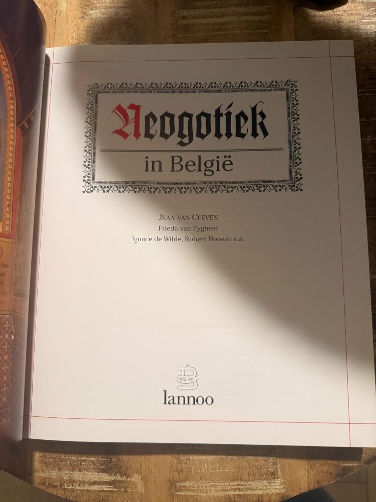 Neogotiek in België - Lannoo, Boeken, Gelezen, Ophalen of Verzenden, Stijl of Stroming, Jean van Cleven