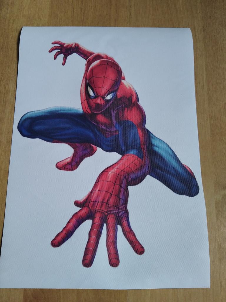 Canvas poster Spiderman, Huis en Inrichting, Ophalen of Verzenden, Nieuw, Minder dan 50 cm, Foto of Poster