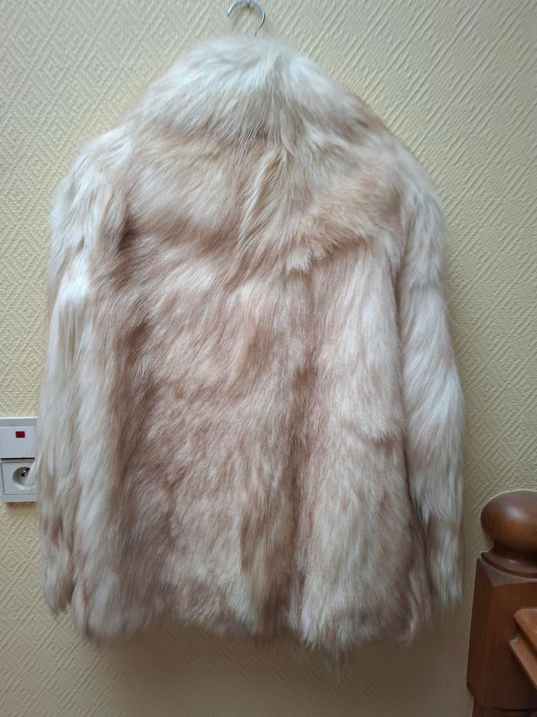 Vestes de fête, Enlèvement