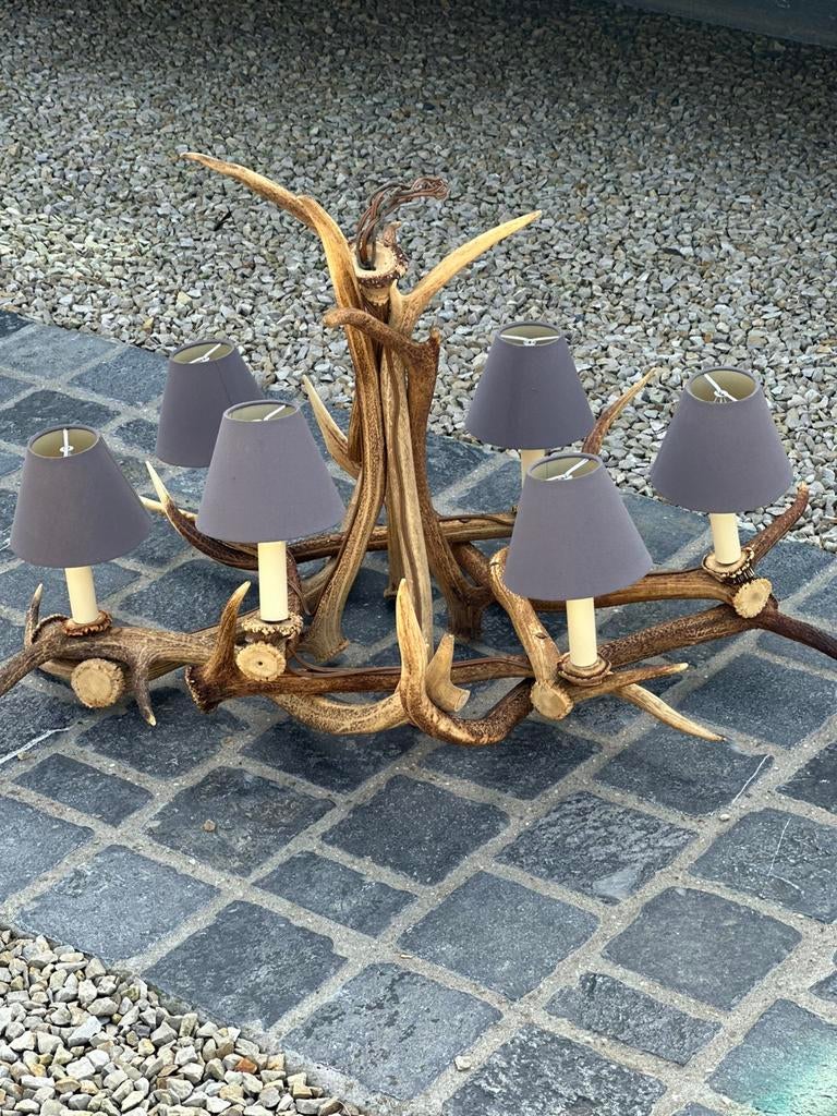 Gewei luster hertengeweien, Antiek en Kunst, Curiosa en Brocante, Ophalen