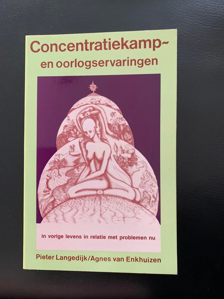 Concentratiekamp- en oorlogservaringen - Pieter Langedijk, Ophalen, Zo goed als nieuw