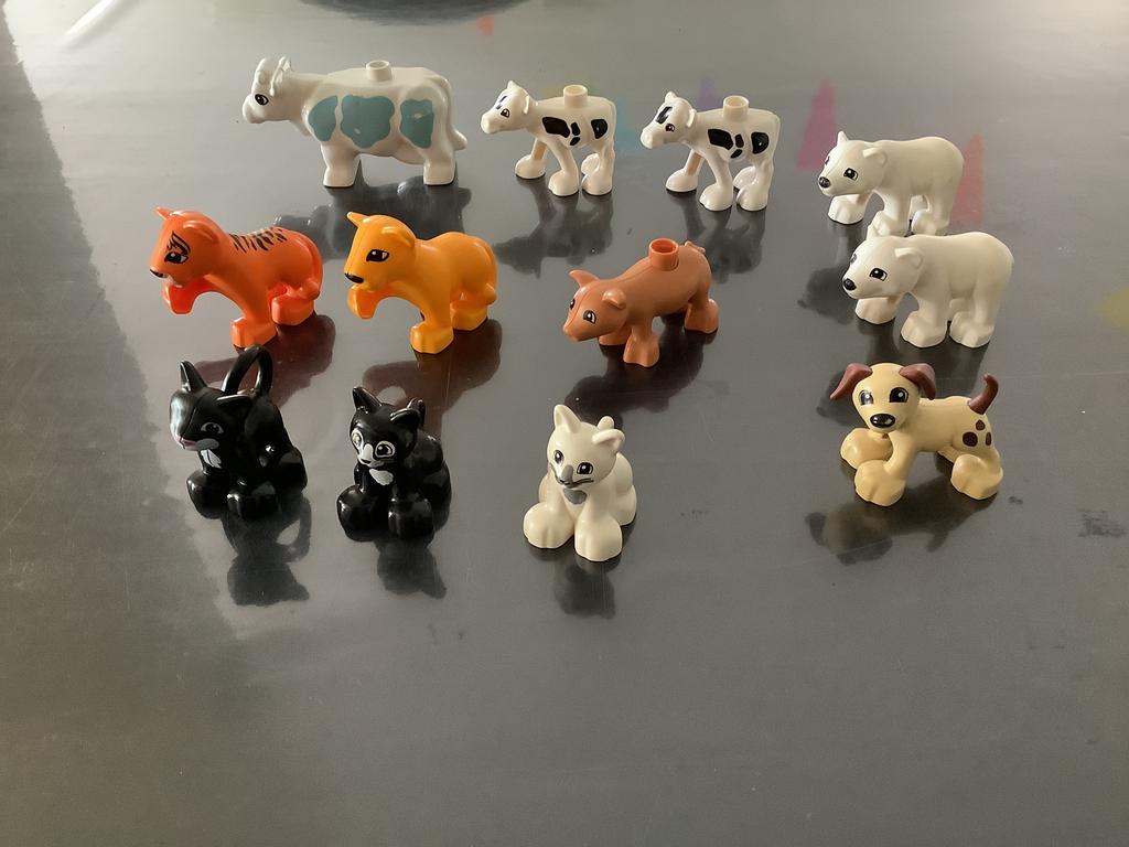 Duplo dieren, Ophalen of Verzenden, Zo goed als nieuw, Losse stenen, Duplo