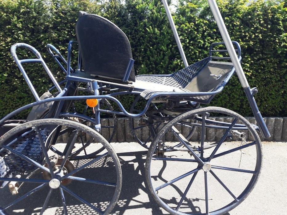Enkelspan Koetsen, Dieren en Toebehoren, Gebruikt, Marathonwagen, Paard