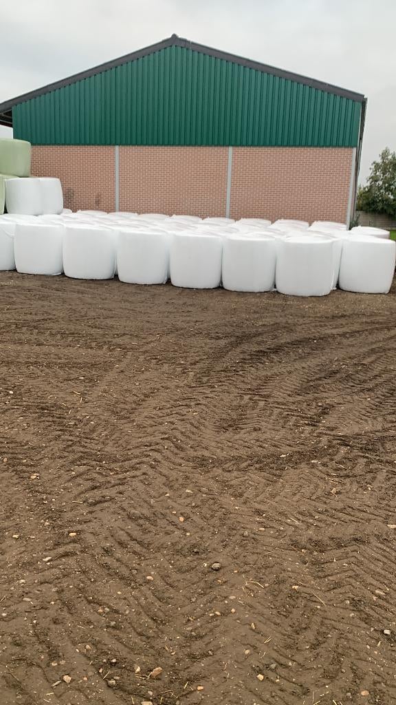maisbollen, Zakelijke goederen, Landbouw | Veevoer, Ophalen