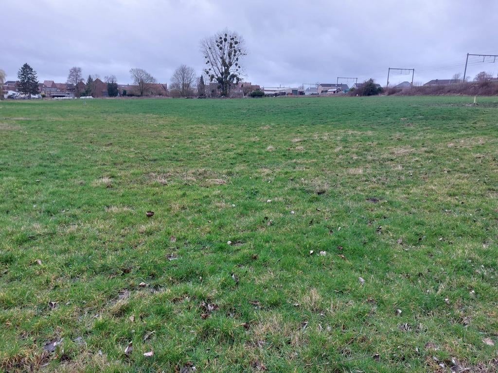 Landbouwgrond te koop in Pajottegem, Dieren en Toebehoren, Stalling en Weidegang
